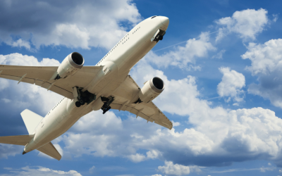 How does the deportation process work in the United States?